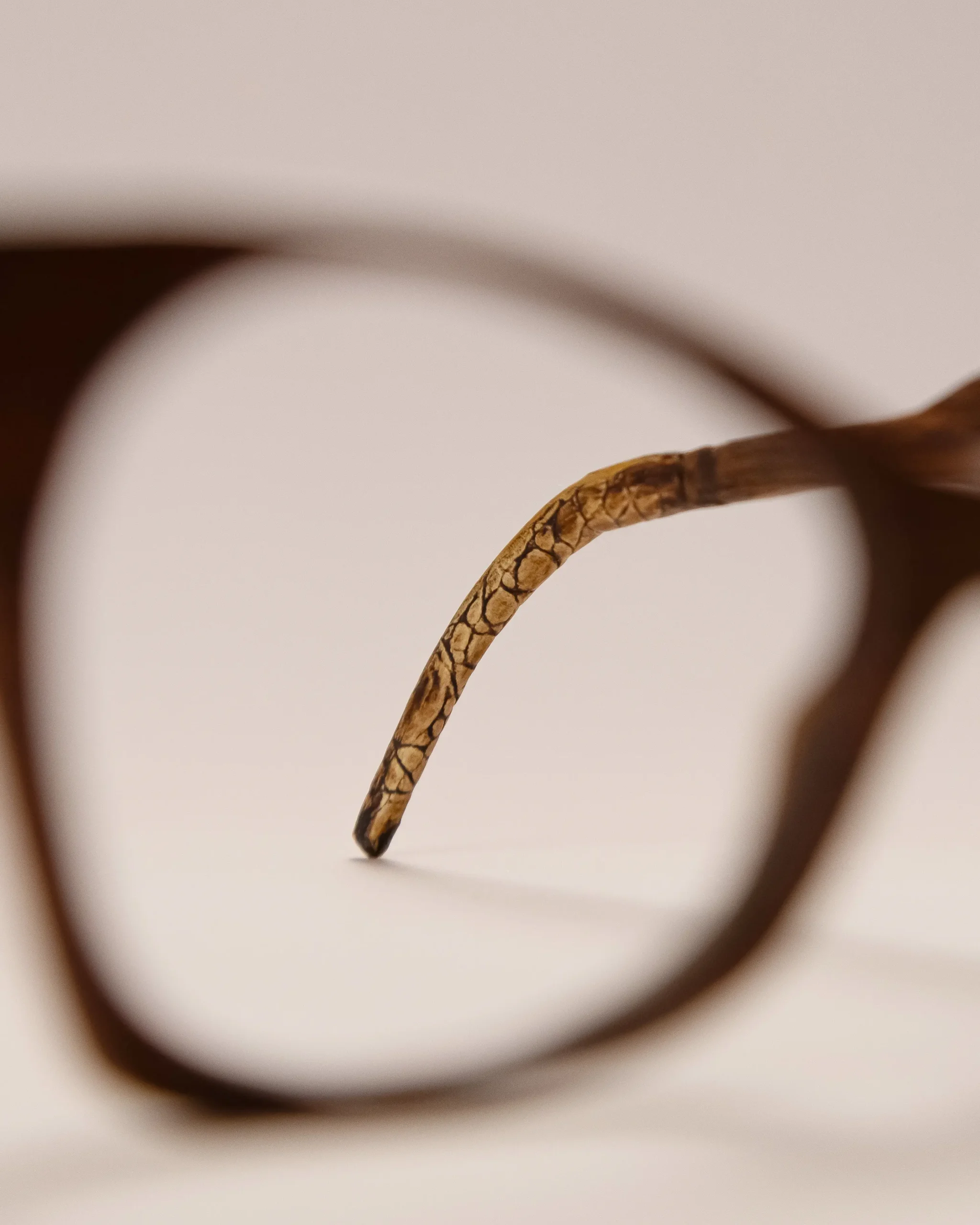 OAK Customization Model